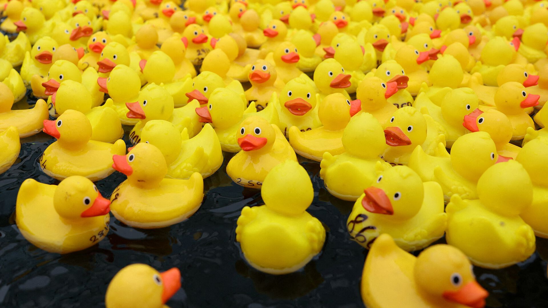 VIDEO | Así se Vivió la Carrera de Patitos de Hule en Londres