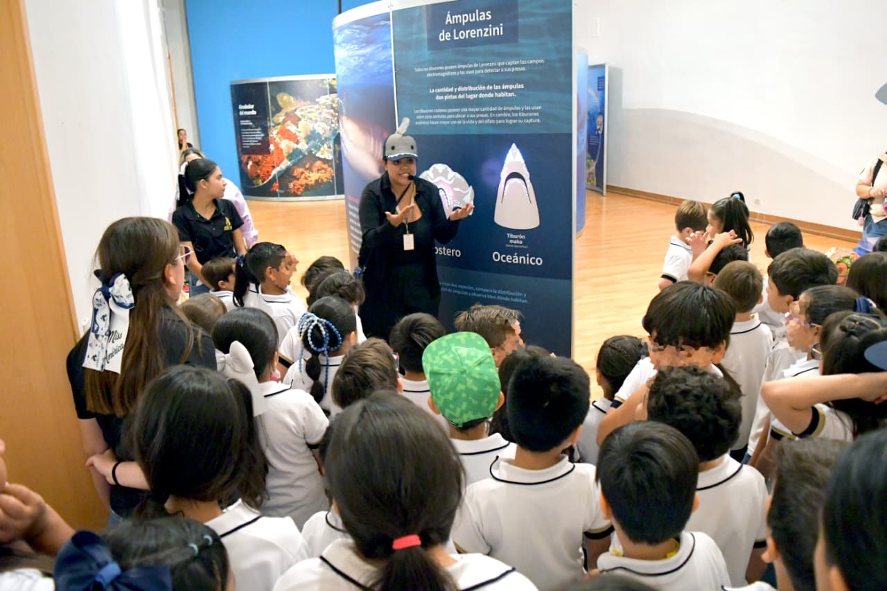 Supera exposición “TIBURONES” expectativas