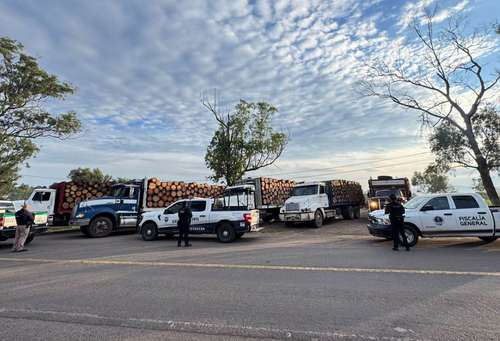 La Jornada: Aseguran 5 camiones con 400 rollos de madera en las afueras de Morelia