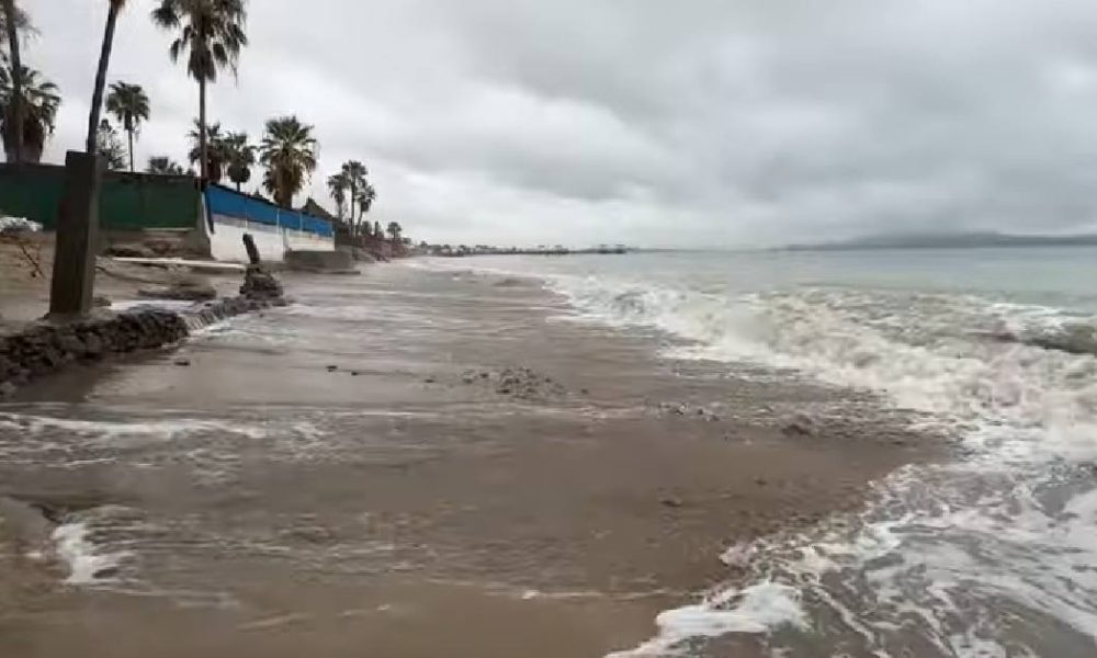 Cierran puertos de Guaymas, Yavaros y Kino por efectos del huracán Polo