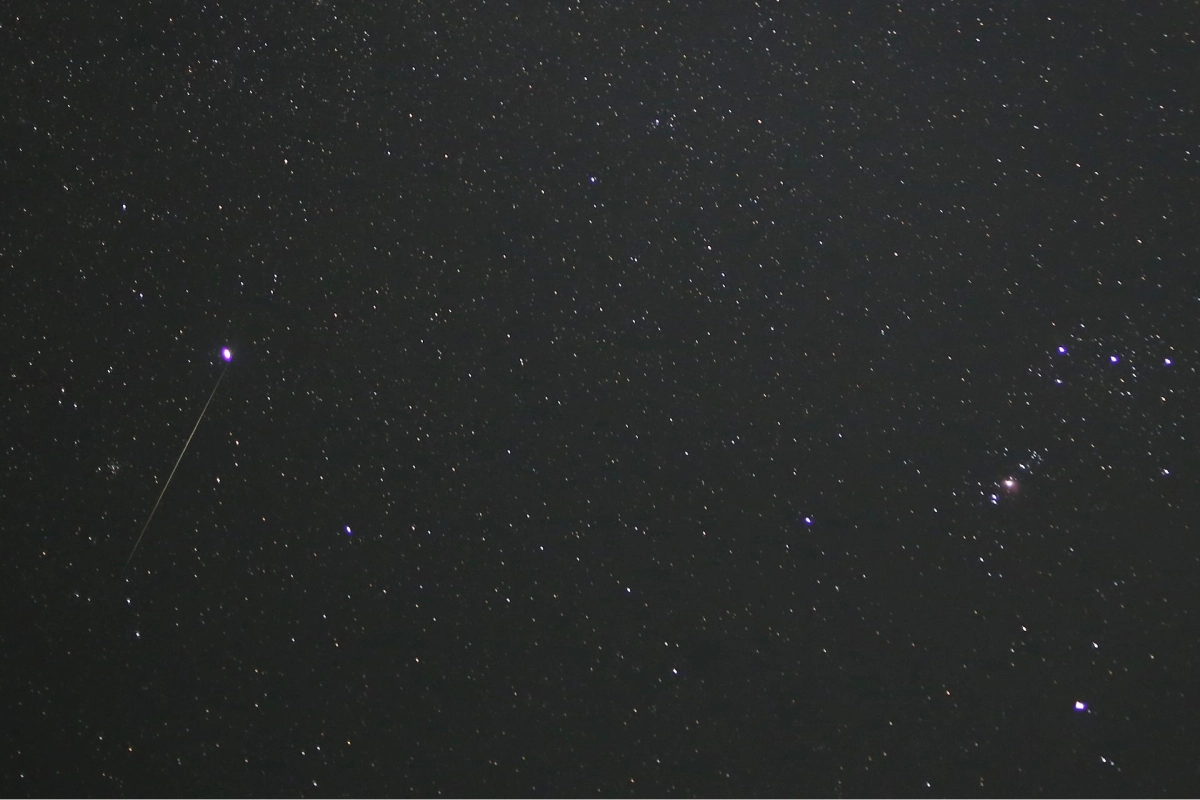 Lluvia de meteoros de las Oriónidas: cuándo y cómo verla en México | Grupo Animal