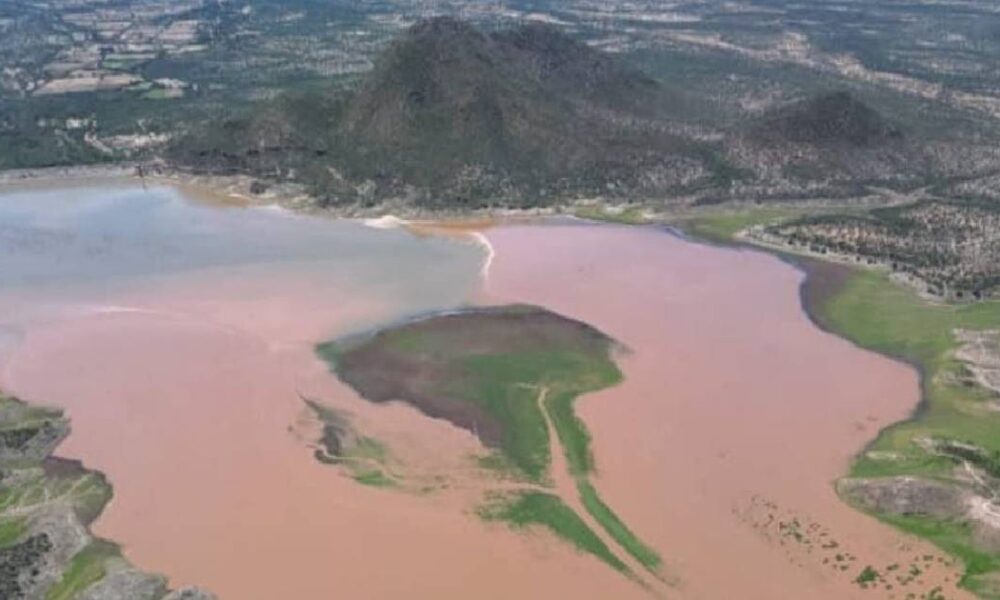 Refuerza Gobierno de Sonora vigilancia pesquera en la presa El Novillo