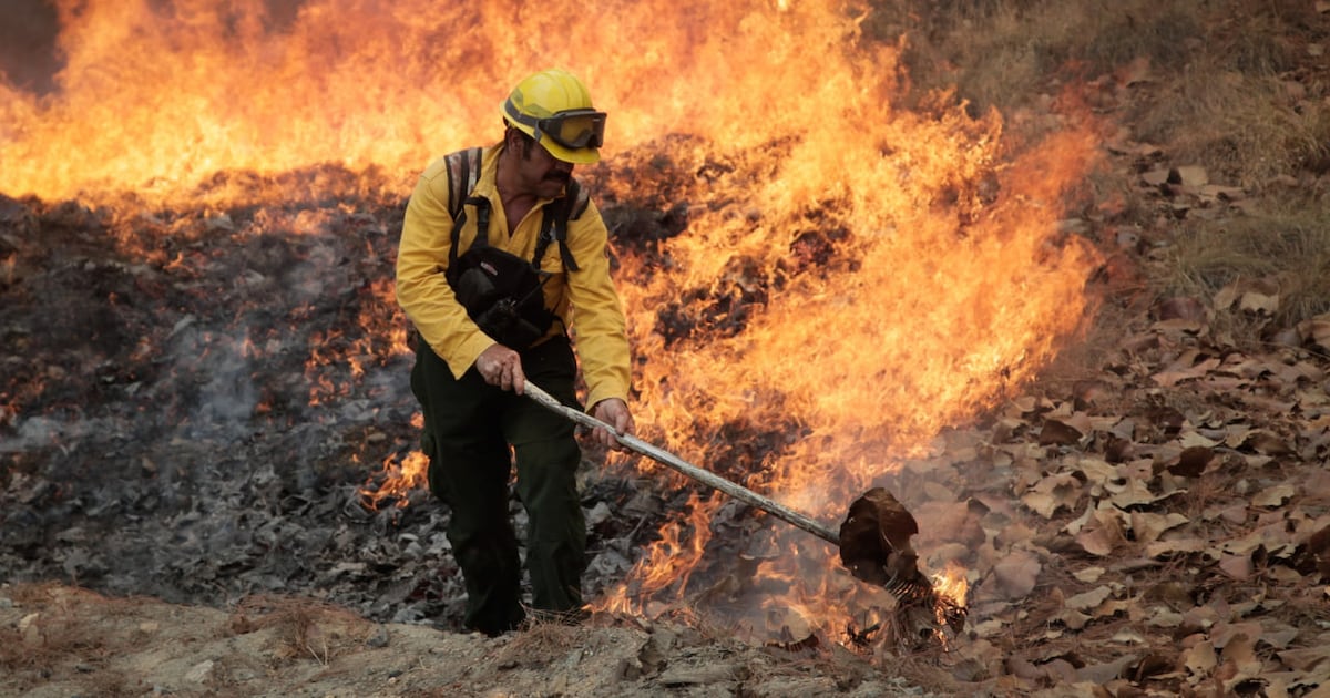 México manda brigadistas a Canadá para apoyar combate de incendios