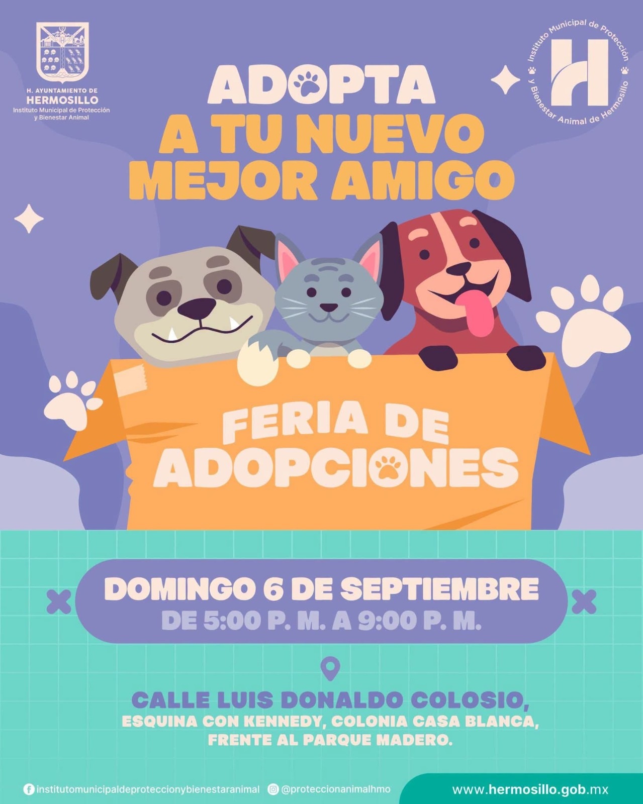 Invita Gobierno de Hermosillo a la Feria de Adopciones el próximo domingo