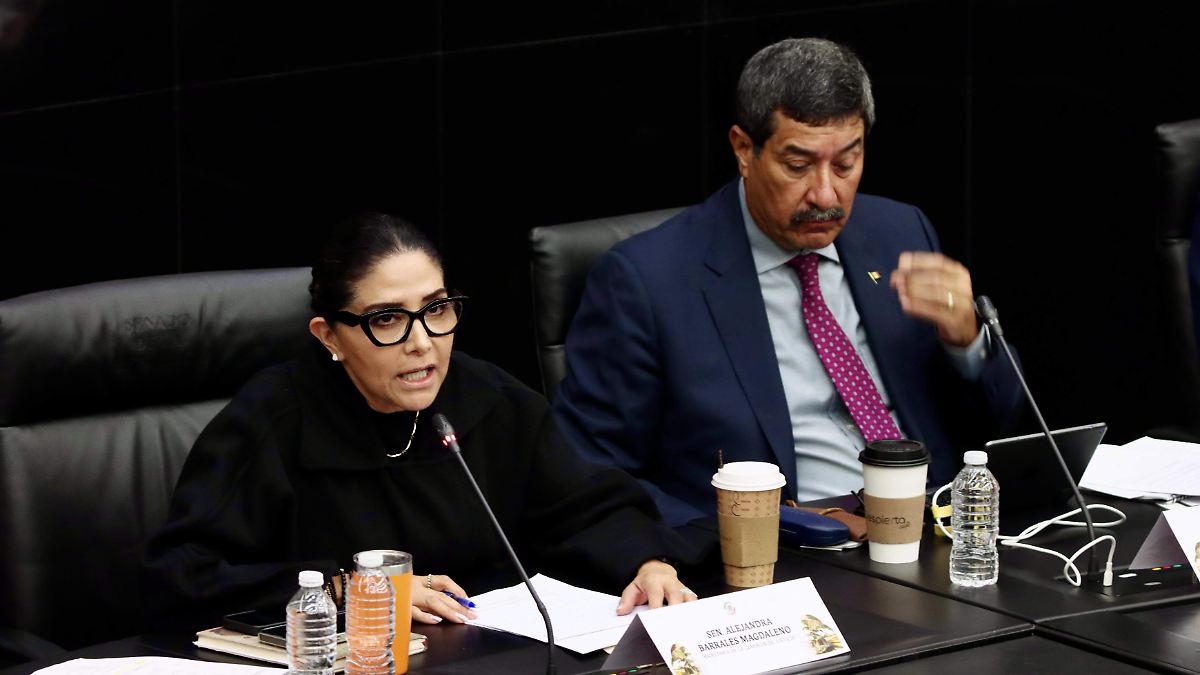 Senado modifica la “Ley Antimemes”; establece de 1 a 5 años de prisión - El Sol de México