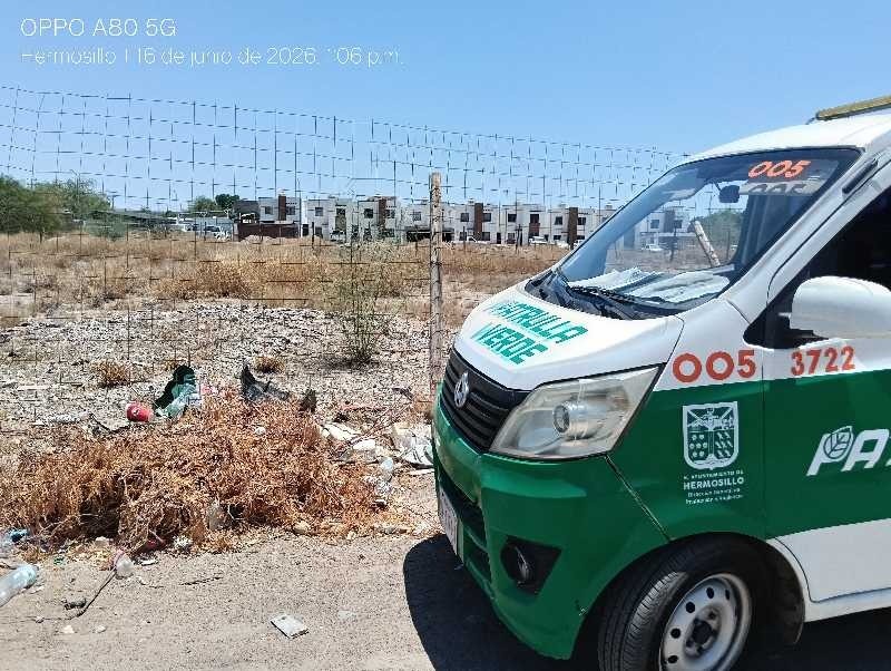 Llama Gobierno Municipal a propietarios de lotes baldíos a mantenerlos limpios