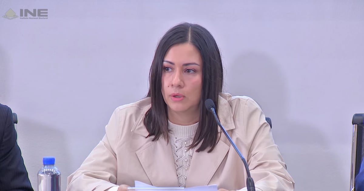 Suman 3 renuncias en el INE tras escándalo de Taddei, señala consejera presidenta interina